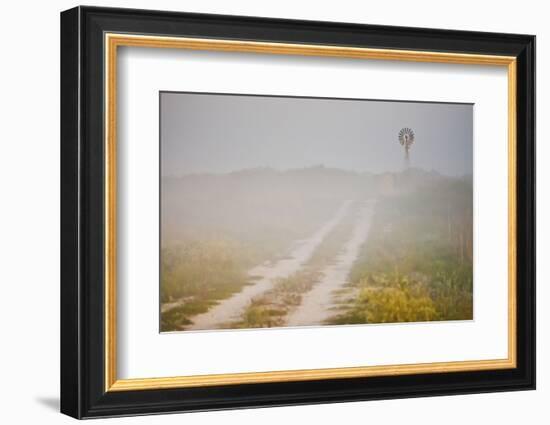 Ranch Road and Windmill in Fog, Texas, USA-Larry Ditto-Framed Photographic Print