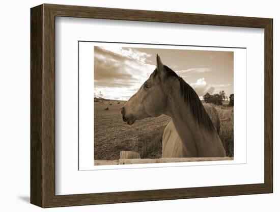 Ranch-Sheldon Lewis-Framed Photographic Print
