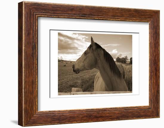 Ranch-Sheldon Lewis-Framed Photographic Print