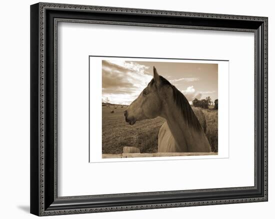 Ranch-Sheldon Lewis-Framed Photographic Print