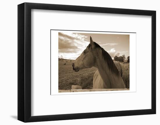 Ranch-Sheldon Lewis-Framed Photographic Print