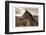 Ranch-Sheldon Lewis-Framed Photographic Print