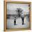 Rancher James A. Shugart Walking a Dusty Road with Son James Jr-Allan Grant-Framed Premier Image Canvas