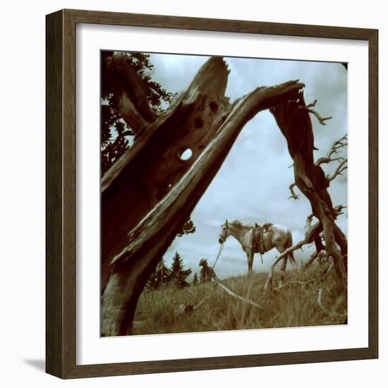 Rancher Leading Horse Across Field as Seen Through Branches of Fallen Tree, Trinchera Ranch-Loomis Dean-Framed Photographic Print