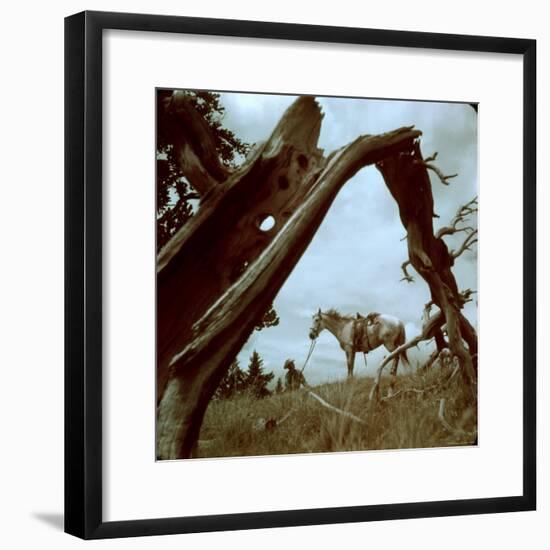 Rancher Leading Horse Across Field as Seen Through Branches of Fallen Tree, Trinchera Ranch-Loomis Dean-Framed Photographic Print