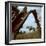 Rancher Leading Horse Across Field as Seen Through Branches of Fallen Tree, Trinchera Ranch-Loomis Dean-Framed Photographic Print