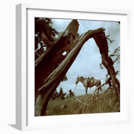 Rancher Leading Horse Across Field as Seen Through Branches of Fallen Tree, Trinchera Ranch-Loomis Dean-Framed Photographic Print