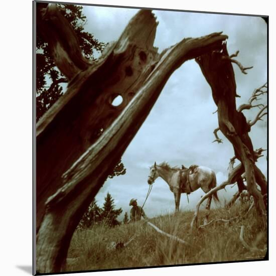 Rancher Leading Horse Across Field as Seen Through Branches of Fallen Tree, Trinchera Ranch-Loomis Dean-Mounted Photographic Print