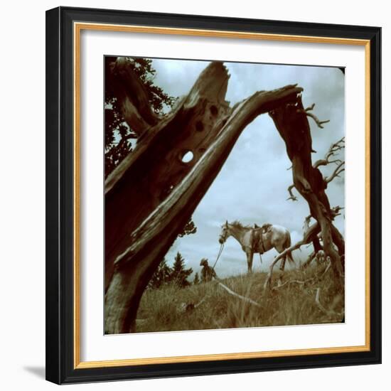 Rancher Leading Horse Across Field as Seen Through Branches of Fallen Tree, Trinchera Ranch-Loomis Dean-Framed Photographic Print