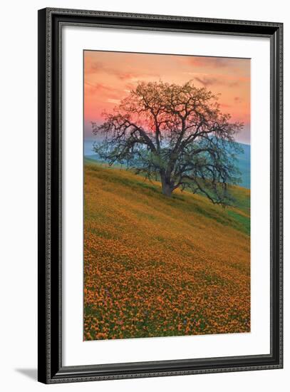 Rancheria-Mark Geistweite-Framed Photographic Print