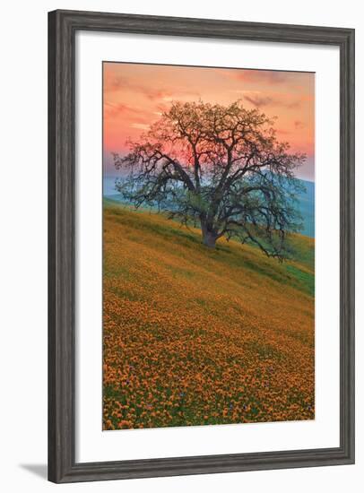 Rancheria-Mark Geistweite-Framed Photographic Print