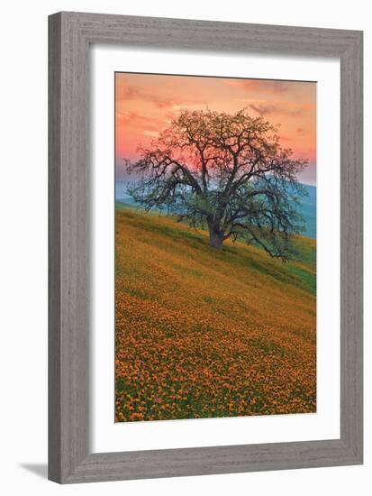 Rancheria-Mark Geistweite-Framed Photographic Print