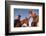 Ranchers with their horses, Horseshoe Working Ranch, Arizona, USA-null-Framed Art Print