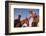 Ranchers with their horses, Horseshoe Working Ranch, Arizona, USA-null-Framed Art Print