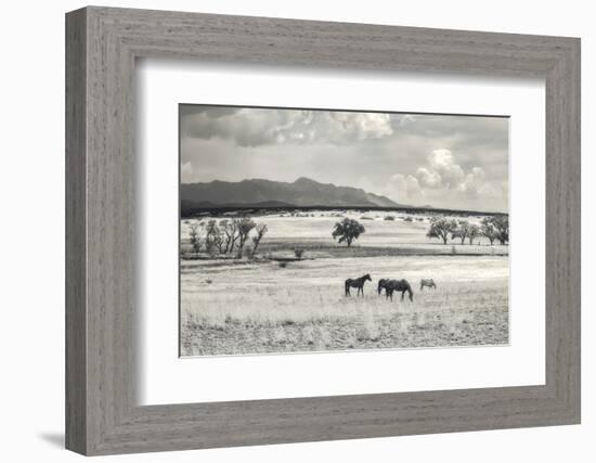Ranchland 9 a-Murray Bolesta-Framed Photographic Print