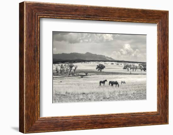 Ranchland 9 a-Murray Bolesta-Framed Photographic Print