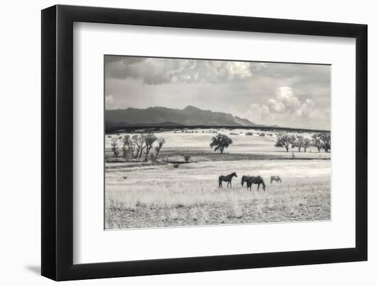 Ranchland 9 a-Murray Bolesta-Framed Photographic Print