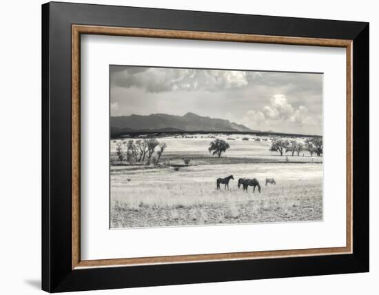 Ranchland 9 a-Murray Bolesta-Framed Photographic Print