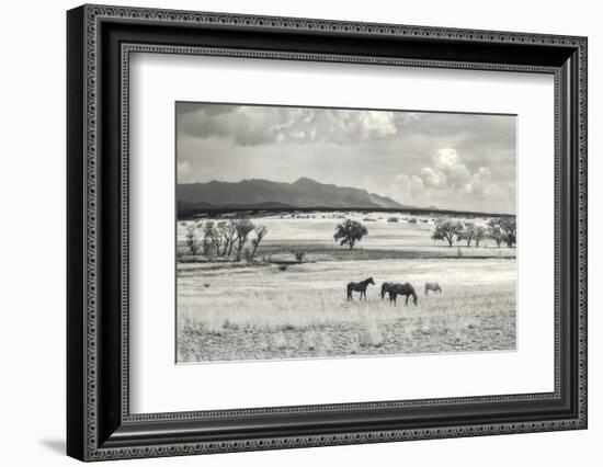 Ranchland 9 a-Murray Bolesta-Framed Photographic Print