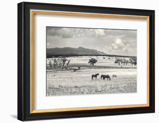 Ranchland 9 a-Murray Bolesta-Framed Photographic Print