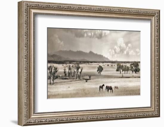 Ranchland 9-Murray Bolesta-Framed Photographic Print