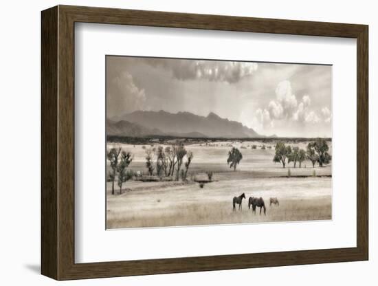 Ranchland 9-Murray Bolesta-Framed Photographic Print