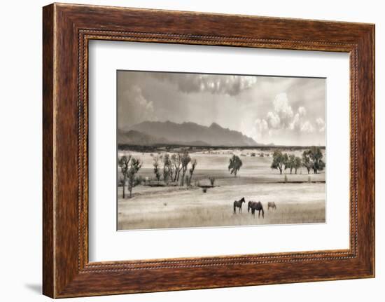 Ranchland 9-Murray Bolesta-Framed Photographic Print