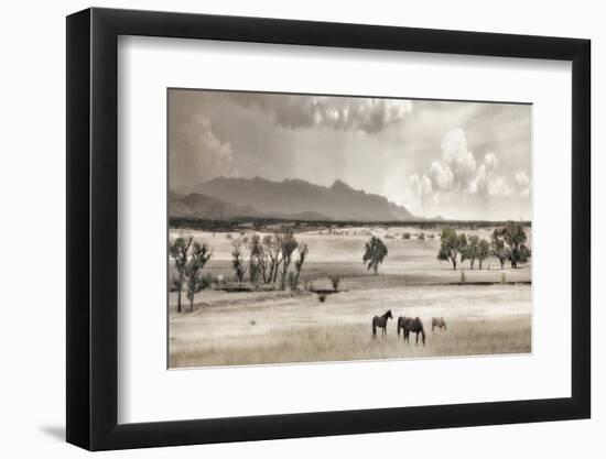 Ranchland 9-Murray Bolesta-Framed Photographic Print