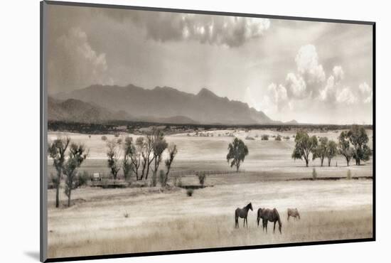 Ranchland 9-Murray Bolesta-Mounted Photographic Print