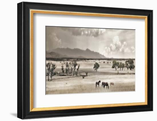 Ranchland 9-Murray Bolesta-Framed Photographic Print