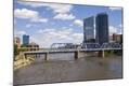 Photographic Print