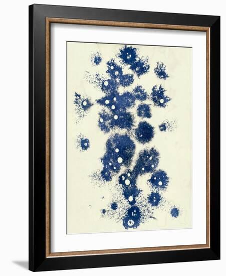 Random-Petr Strnad-Framed Photographic Print