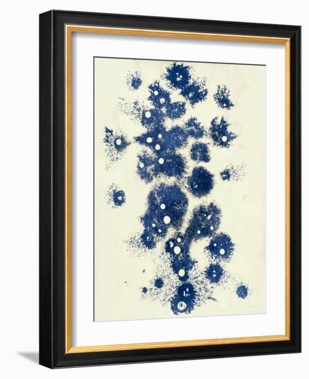 Random-Petr Strnad-Framed Photographic Print