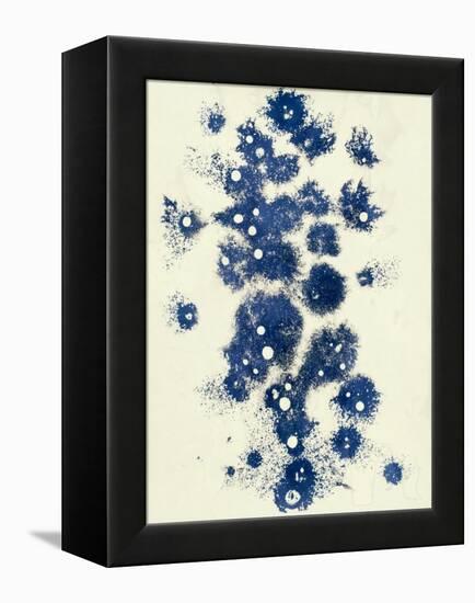 Random-Petr Strnad-Framed Premier Image Canvas