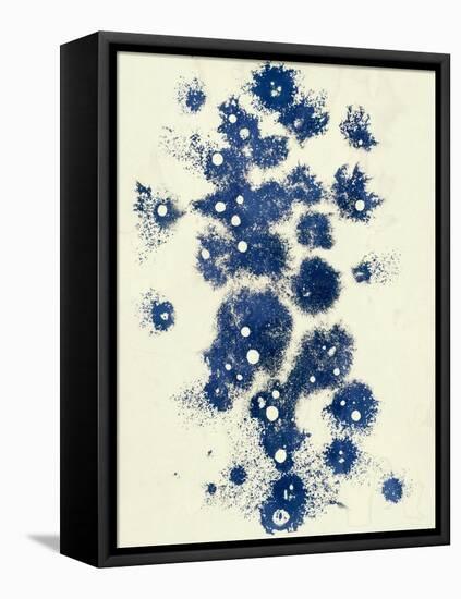 Random-Petr Strnad-Framed Premier Image Canvas