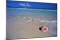 Photographic Print