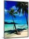 Premium Photographic Print