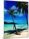 Premium Photographic Print