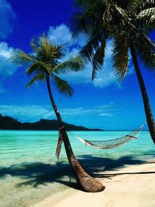 Hammock Hanging Seaside by Randy Faris