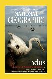Cover of the June, 2000 National Geographic Magazine-Randy Olson-Premier Image Canvas