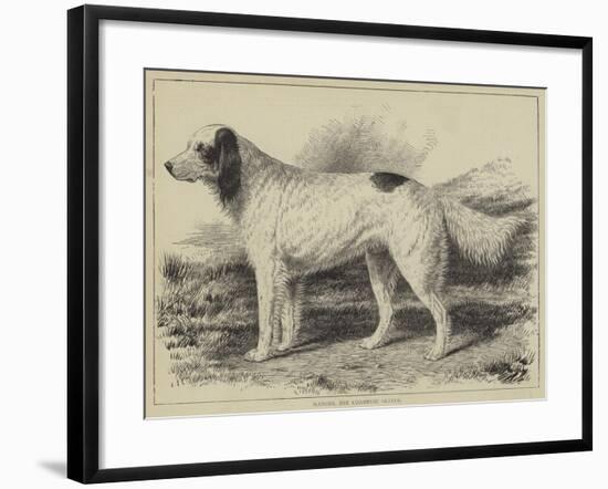 Ranger, the Champion Setter-null-Framed Giclee Print