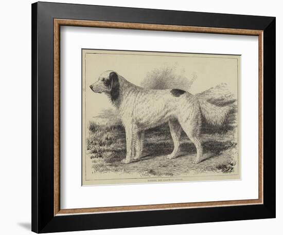 Ranger, the Champion Setter-null-Framed Giclee Print