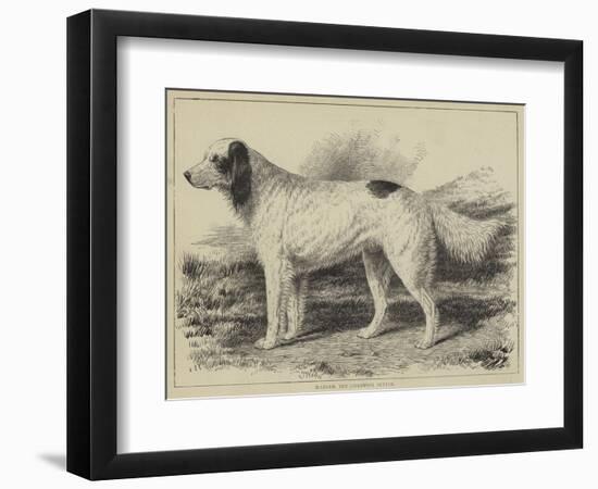 Ranger, the Champion Setter-null-Framed Giclee Print