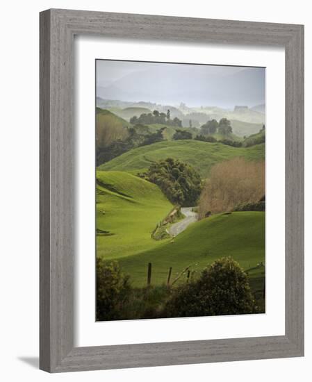 Rangiwahia Road, Winding Through Sheep Pasture in Rural Manawatu, North Island, New Zealand-Smith Don-Framed Photographic Print