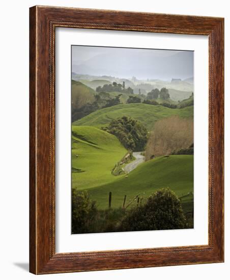 Rangiwahia Road, Winding Through Sheep Pasture in Rural Manawatu, North Island, New Zealand-Smith Don-Framed Photographic Print
