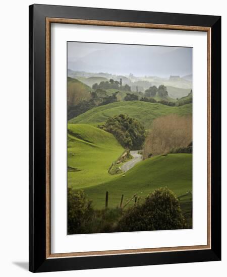 Rangiwahia Road, Winding Through Sheep Pasture in Rural Manawatu, North Island, New Zealand-Smith Don-Framed Photographic Print