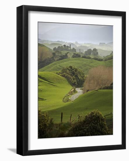 Rangiwahia Road, Winding Through Sheep Pasture in Rural Manawatu, North Island, New Zealand-Smith Don-Framed Photographic Print