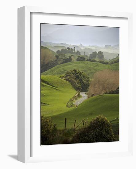 Rangiwahia Road, Winding Through Sheep Pasture in Rural Manawatu, North Island, New Zealand-Smith Don-Framed Photographic Print