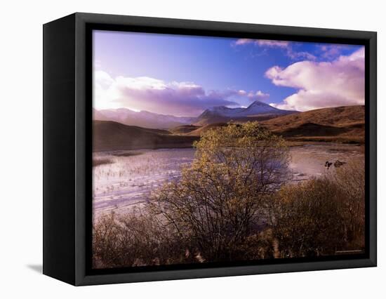 Rannoch Moor, Black Mount, Strathclyde, Scotland, United Kingdom-Kathy Collins-Framed Premier Image Canvas