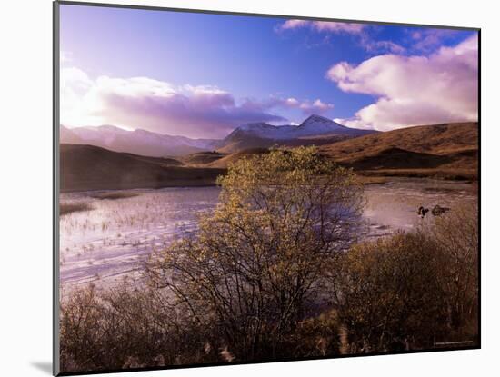 Rannoch Moor, Black Mount, Strathclyde, Scotland, United Kingdom-Kathy Collins-Mounted Photographic Print